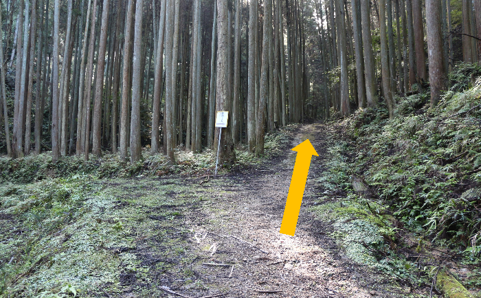 壷阪寺ハイキングコース道案内14