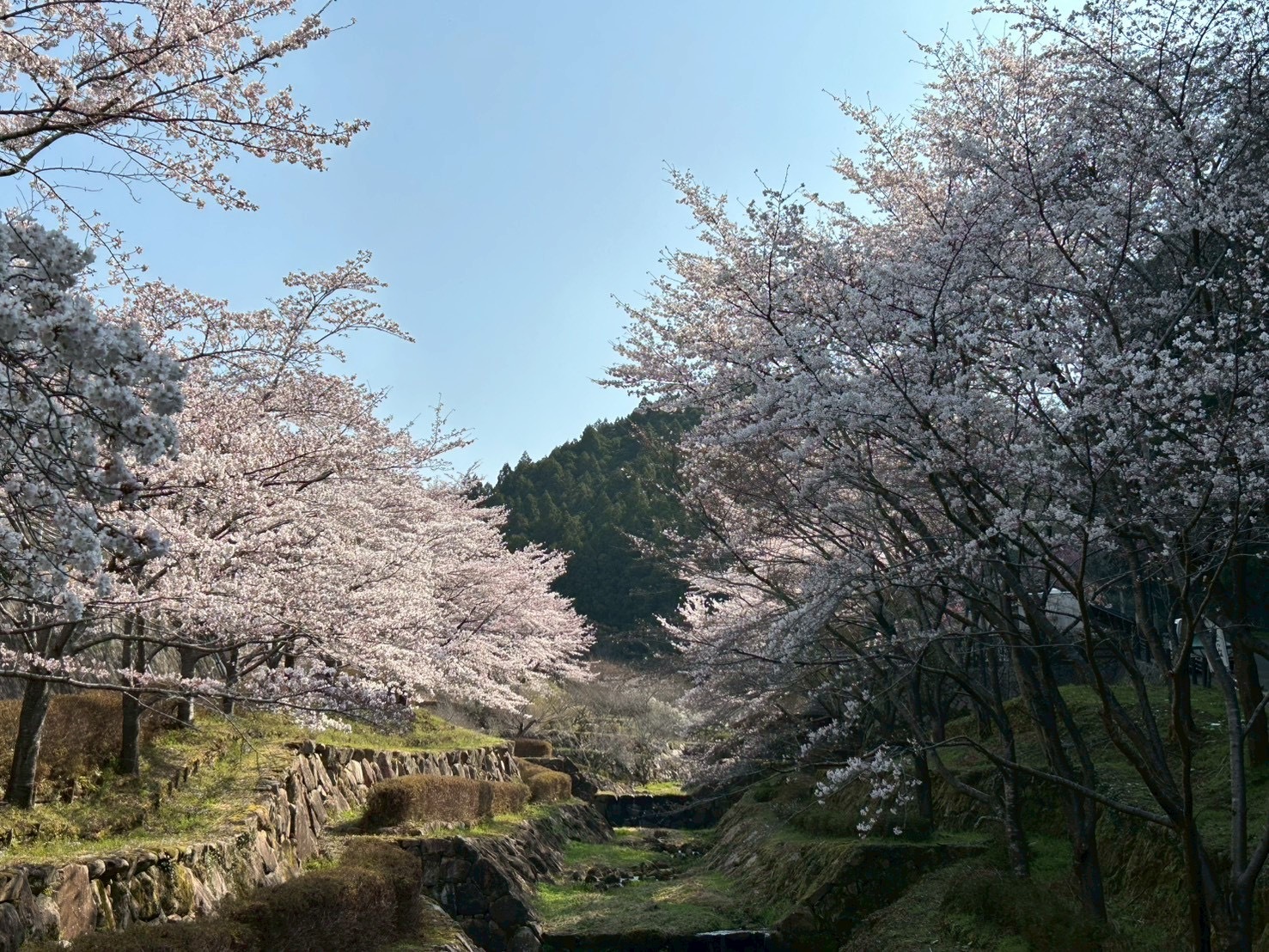 上子島砂防公園