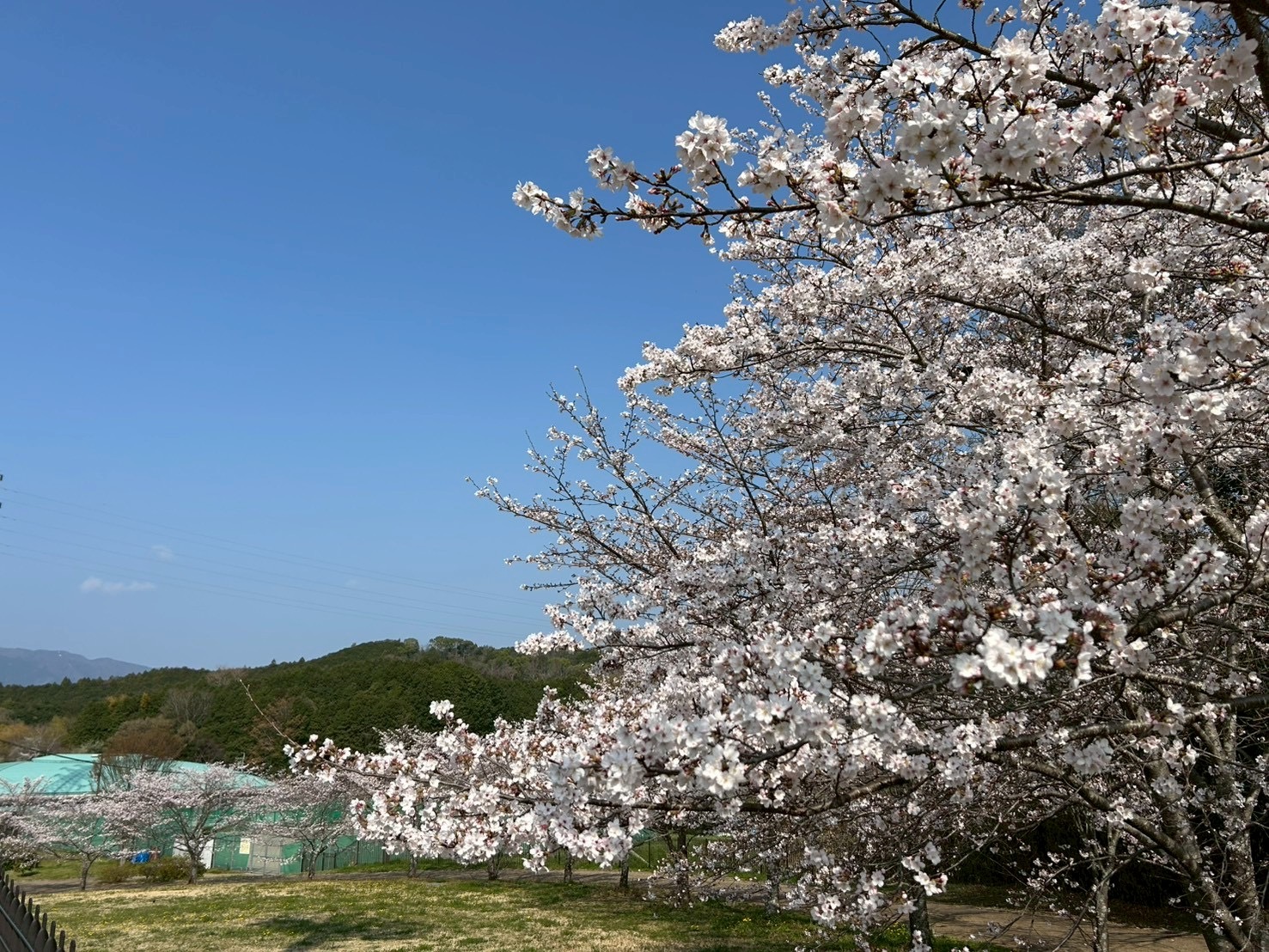 高取町中央公園 (リベルテホール周辺)