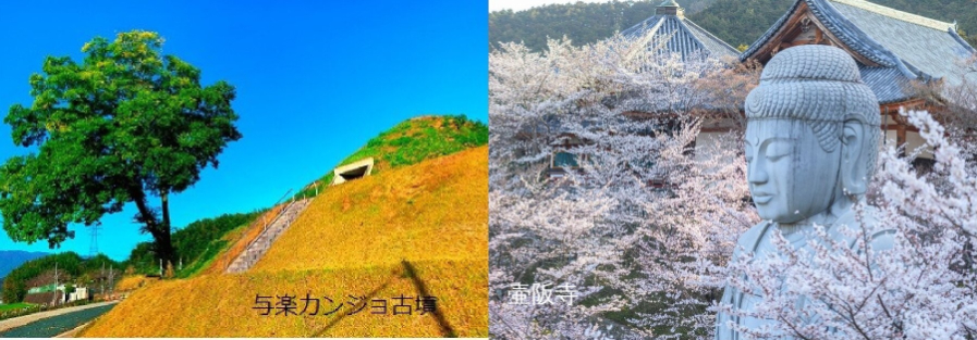 与楽カンジョ古墳　壷阪寺（春）