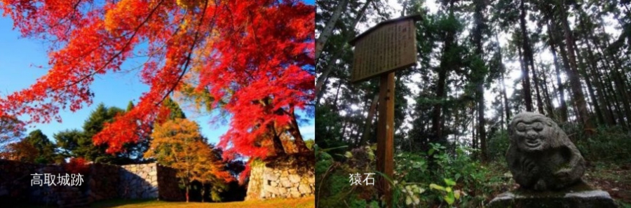高取城跡　猿石（秋）